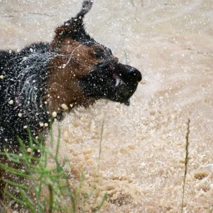 IMG_2445_1 (Custom).jpg