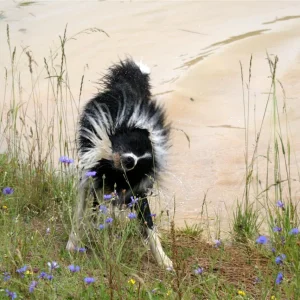 IMG_2472_1 (Custom).jpg