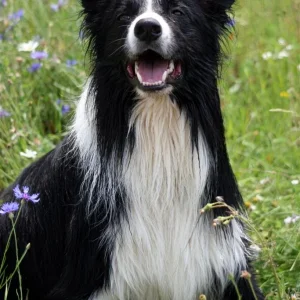 IMG_2552_1 (Custom).jpg