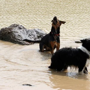 IMG_2669_1 (Custom).jpg