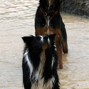 IMG_2832_1 (Custom).jpg