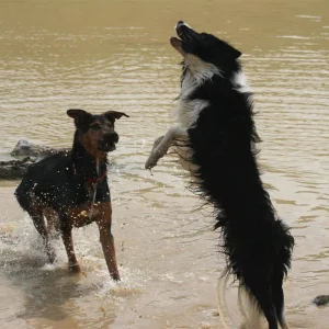 IMG_2871 (Custom).jpg