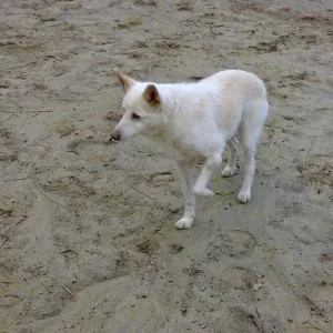 Kopie von Sommer 2008 170.jpg