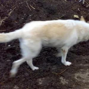 Kopie von Sommer 2008 172.jpg