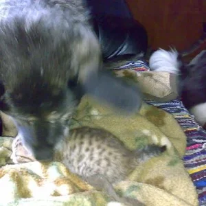 Kopie von 22072008554.jpg