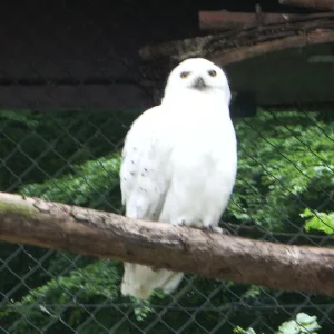 IMGP7972 (Custom).jpg