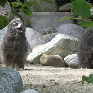 IMGP8240 (Custom).jpg