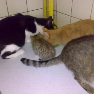 Kopie von Sommer 2008 181.jpg