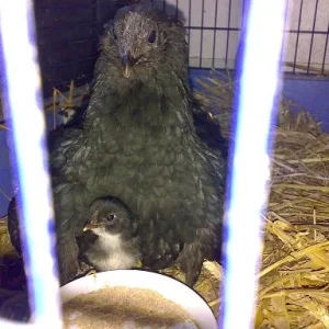 Kopie von Sommer 2008 155.jpg