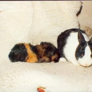 Cesare & Murmel    01.1989.jpg