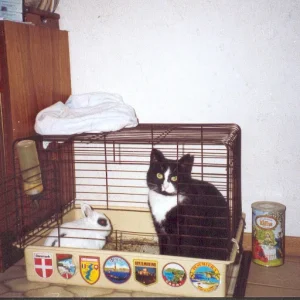 Mümmy & Mikki   1993.jpg