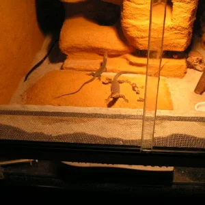 Eigene Bilder 050.jpg