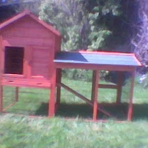 Mein Au_engehege  (10.jpg