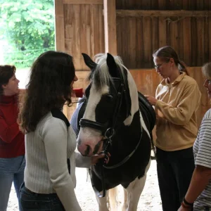 rangshof_ela besuchen (43) (Custom).jpg