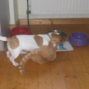 Kopie von Bild 1529.jpg