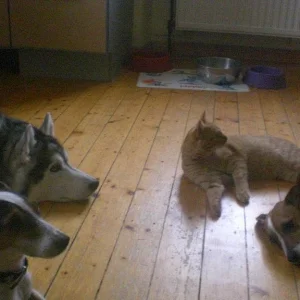 Kopie von Bild 1556.jpg