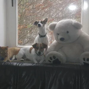 Kopie (2) von Bild 1444.jpg