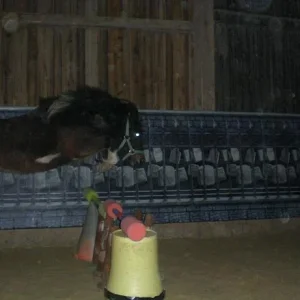 Kopie von Bild 1731.jpg