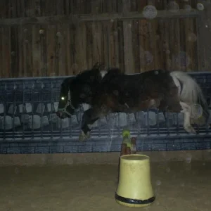 Kopie von Bild 1724.jpg