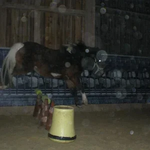 Kopie von Bild 1722.jpg