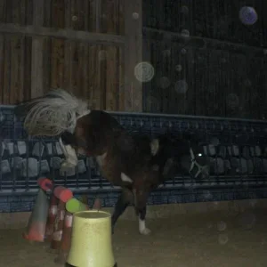 Kopie von Bild 1725.jpg