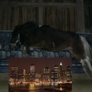 Kopie von Bild 1843.jpg