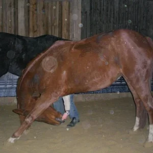 Kopie von Bild 1889.jpg