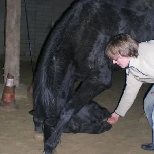 Kopie von Bild 1885.jpg