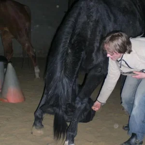 Kopie von Bild 1884.jpg