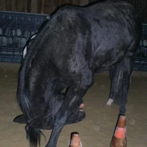 Kopie von Bild 1896.jpg