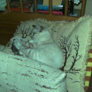 Carmen mit Ringelsöckchen  19.11.08.jpg