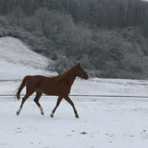 Kopie von Bild 2056.jpg