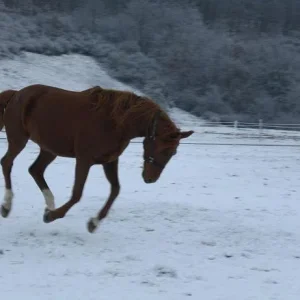 Kopie von Bild 2054.jpg