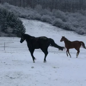 Kopie von Bild 2055.jpg