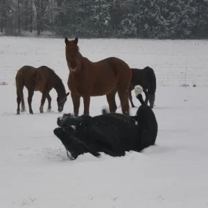 Kopie von Bild 2326.jpg