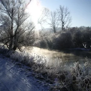 IMGP9480 (Custom).jpg