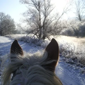 IMGP9481 (Custom).jpg