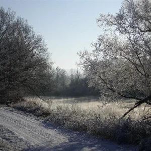 IMGP9484 (Custom).jpg