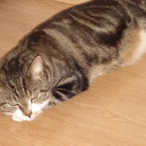 Digital-Kamera 242.jpg