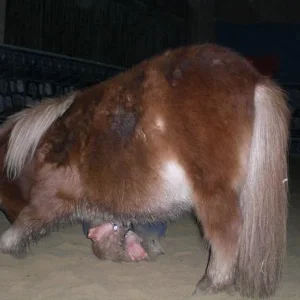 Kopie von Bild 2604.jpg