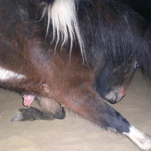 Kopie von Bild 2577.jpg