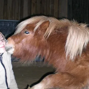 Kopie von Bild 2610.jpg