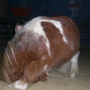 Kopie von Bild 2616.jpg