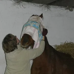 Kopie von Bild 1984.jpg