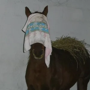 Kopie von Bild 1985.jpg