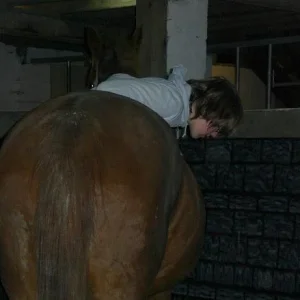 Kopie von Bild 1763.jpg