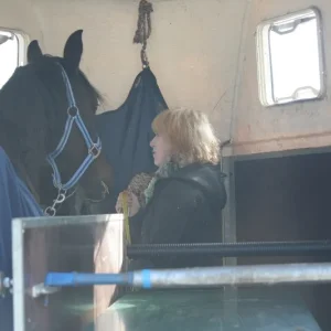 stallumzug 008.2.jpg