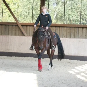 hasna stall 138.2.jpg