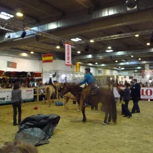 Equitana09 (62) (Custom).jpg