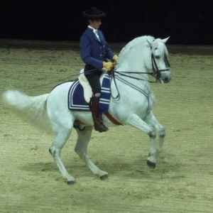 Equitana09 (121) (Custom).jpg